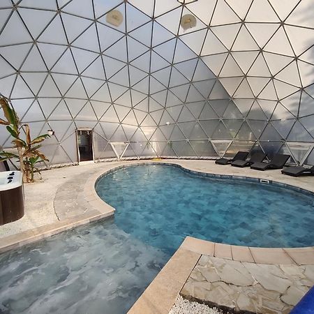 Mas Du Versadou, Dans Un Espace Naturel Protege, Piscine Couverte Chauffee Toute L'Annee, Spa Et Salle De Jeux Saint-Gilles  Luaran gambar